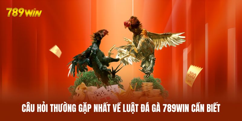 Câu hỏi thường gặp nhất về luật đá gà 789WIN cần biết Câu hỏi thường gặp nhất về luật đá gà 789WIN cần biết