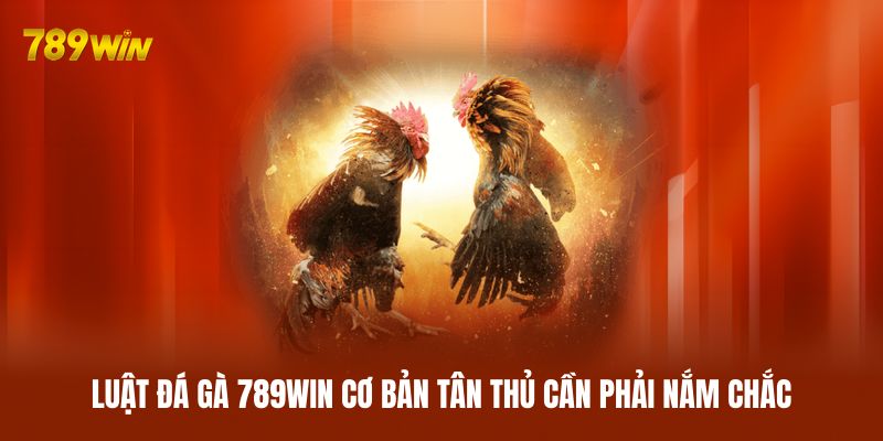 Luật đá gà 789WIN cơ bản tân thủ cần phải nắm chắc Luật đá gà 789WIN cơ bản tân thủ cần phải nắm chắc