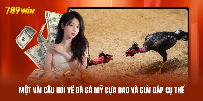 Một vài câu hỏi về đá gà Mỹ cựa dao và giải đáp cụ thể Một vài câu hỏi về đá gà Mỹ cựa dao và giải đáp cụ thể