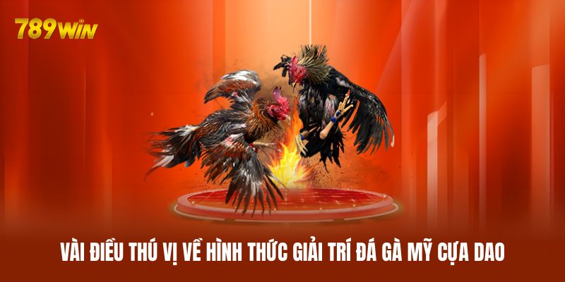 Vài điều thú vị về hình thức giải trí đá gà Mỹ cựa dao Vài điều thú vị về hình thức giải trí đá gà Mỹ cựa dao